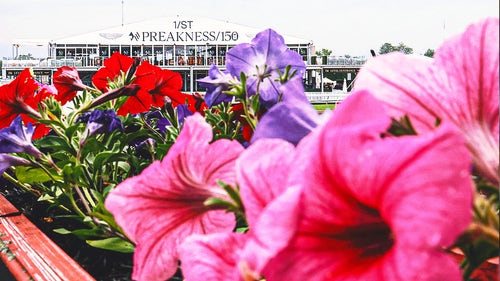 NEXT Trending Image: 2025 Preakness Stakes odds: Sharps ponying up to back Clever Again