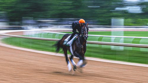 NEXT Trending Image: 2025 Belmont Stakes: Rain clears, but muddy track conditions remain